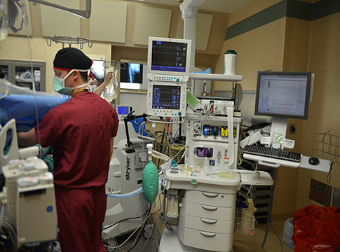 fellowship cardiothoracic anesthesiology adult anesthesia welcome uiowa gme medicine edu